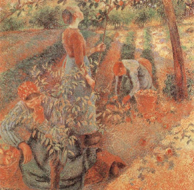 Camille Pissarro Apple picking oil painting picture
